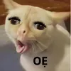 .cha.k