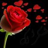 user4268307439002