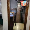 anna.cecilia025