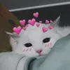 erinwsgd