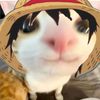 shakoyaki
