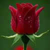user23634061186275