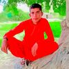 jamali8065