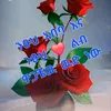 user48867617560175