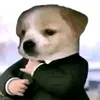 ben.bi.kho