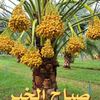 user28757111145343