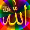 malikirshadahmad30