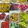nn.fruits.et.lgum