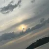 alessja_71