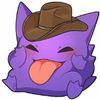 Shadow con sombrero de vaquero