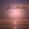 ayoush841