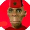 walid.dz106