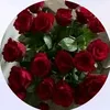 user43611624296987