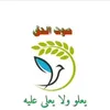 صوت الحق