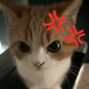 syakir_291
