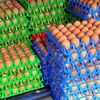 eggs.wholesellers
