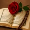 الشيخ ﴿ابو اسامه﴾ مفسر احلام