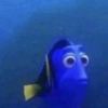 dory.the.blue.fis