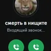 user8004946608434
