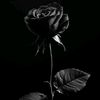 dark.angel6359