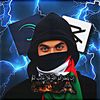 palisteen3