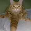 jujuuuuuuu39