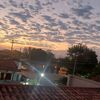 vioo7613