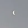 zigor_th12