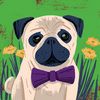 user87247003188157