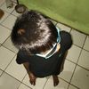 azim_akun_baru01