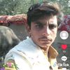 sawal.khan5317