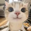 ._.meidas