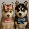 apollopam_