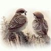 user9614905816301