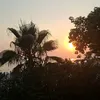 lilcia_sigma1