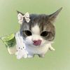 macha_lovers82