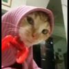 aku.mau.kamu619