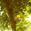 user1881053836105