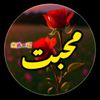 alon.girl930