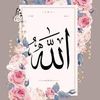 user2851392200527