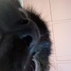 itsyourgirl_ivy3