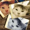 user7858013070205