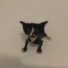Habebe