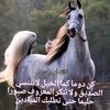 user3677027595622