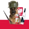 polishdawg_wt0