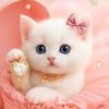 cute.cat1265