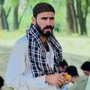 کوچی هلک
