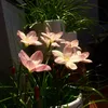 _nnang8
