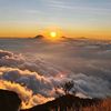 mounth.story