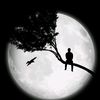 Yousef Walid